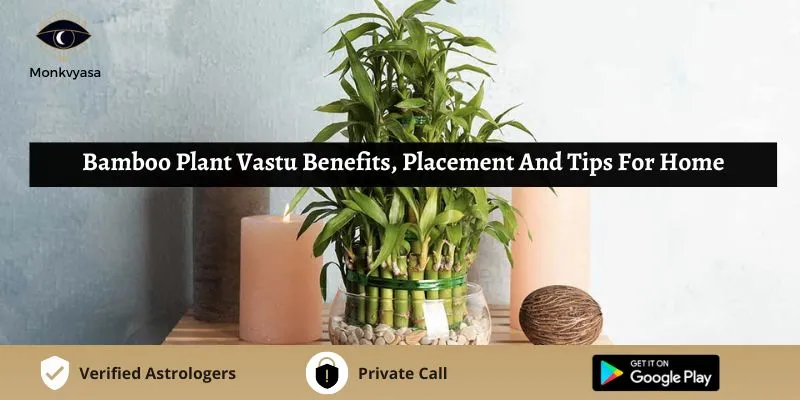 Vastu vs Feng Shui: How to Differentiate Between the Two?