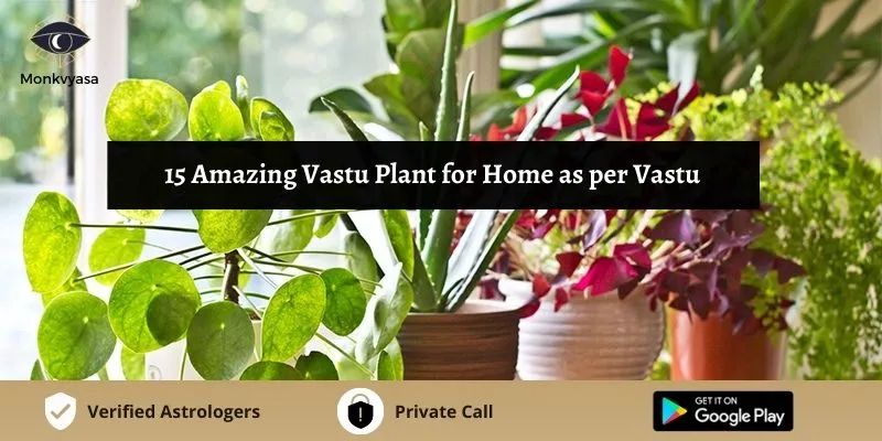 https://www.monkvyasa.com/public/assets/monk-vyasa/img/Vastu%20Plant%20For%20Home%20As%20Per%20Vastu.webp